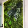 Illuminated moss wall art with preserved botanicals and integrated backlighting in a rectangular frame