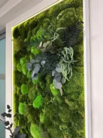 Illuminated Moss Picture with Cushion Moss, Siberian Moss and Plants