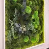 Preserved green moss and foliage wall art in a white frame with glowing inner border viewed from an angle