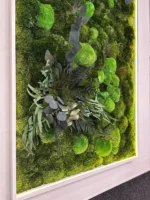 Illuminated Moss Picture with Cushion Moss, Siberian Moss and Plants - Image 2