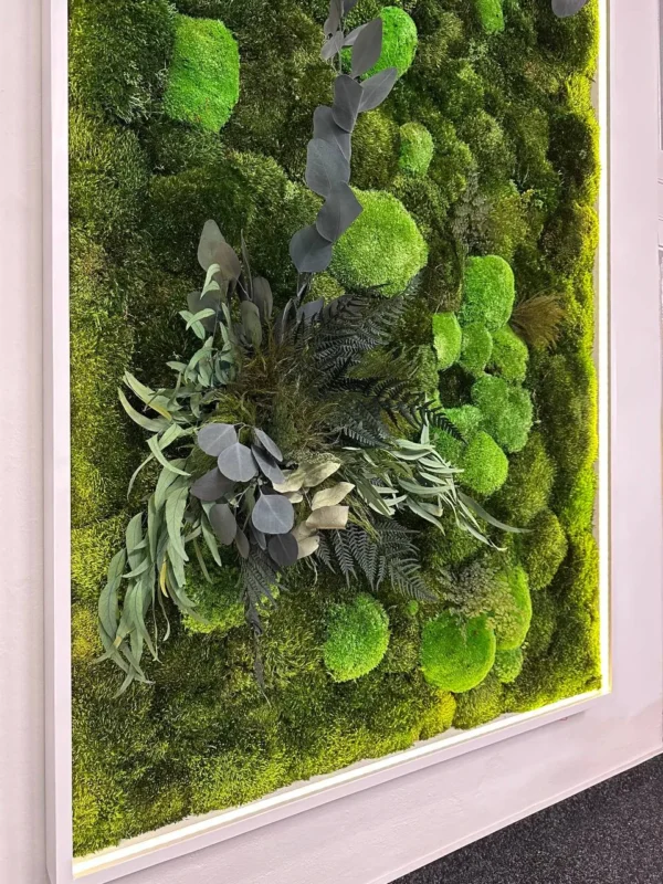 Illuminated Moss Picture with Cushion Moss, Siberian Moss and Plants - Image 2