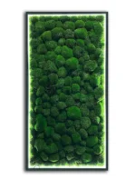 Moss Wall Art with Cushion Moss and LED Lighting - Image 5