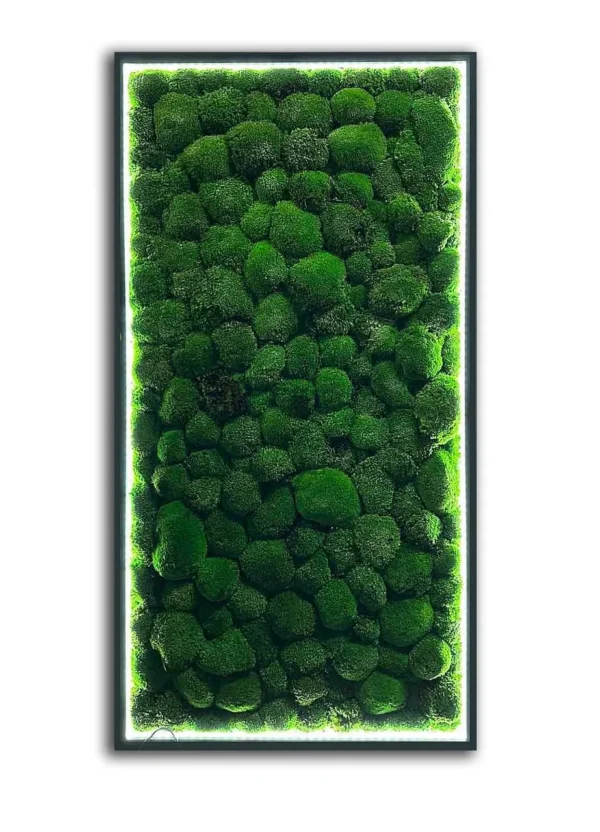 Moss Wall Art with Cushion Moss and LED Lighting - Image 5