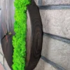 Side view of dark wood wall clock showing circular grain edge and vibrant green moss on a brick wall