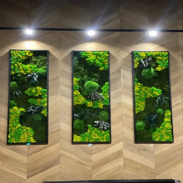Plant Wall Art: Set of Moss Pictures Made from Real Plants - Image 6