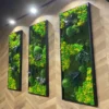 Side view of three vertical moss art frames with textured green and yellow moss hung on a chevron wood wall.