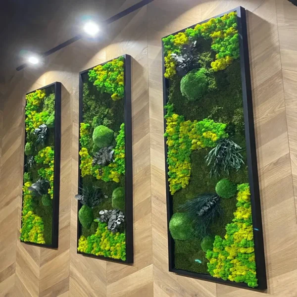 Plant Wall Art: Set of Moss Pictures Made from Real Plants - Image 7