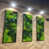 Three vertical preserved moss wall panels in black frames mounted on a herringbone wood wall
