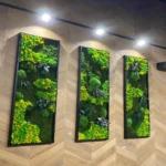 Plant Wall Art: Set of Moss Pictures Made from Real Plants - Image 8