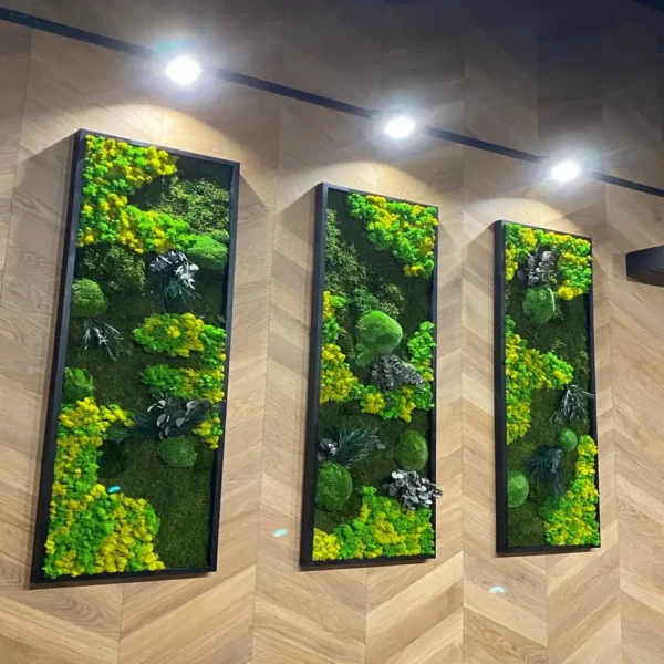 Plant Wall Art: Set of Moss Pictures Made from Real Plants - Image 8
