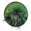 Round moss wall art with green preserved moss, dark ferns, and grasses in a slim black frame