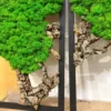 Close-up of bright green preserved reindeer moss and textured cork bark details on black wooden frames