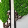 Close-up of textured green preserved moss and natural cork wood branches inside black frames.