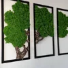 Three-piece tree wall art with green reindeer moss and cork bark in black rectangular frames on a white wall