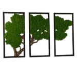 Moss Wall Art 3-Piece Set – Moss Tree with Preserved Reindeer Moss and Cork Wood