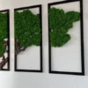 Three black rectangular frames with green preserved moss and cork wood branches displayed on a white wall.