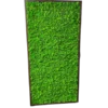 Vertical moss room divider panel filled with dense green lichen moss in a dark wood frame