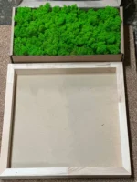 Wooden Frame Set with Preserved Reindeer Moss - Image 2