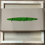 Wooden Frame Set with Preserved Reindeer Moss
