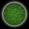 Circular stabilized moss wall art featuring integrated halo backlighting against a dark background