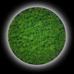 Ekomoss Round DIY Moss Picture Set – Reindeer Moss - Image 7
