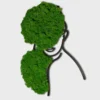 Woman portrait silhouette wall art with textured preserved moss on a plain background