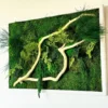 Preserved moss wall art with light driftwood and green ferns in a white frame, mounted on a white wall.