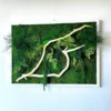 Moss wall art featuring a light wood branch accent and preserved greenery in a white frame hanging on a wall.