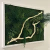 Rectangular moss wall art with preserved ferns and curved driftwood branch in a white wooden frame.