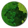 Round wall art featuring textured shades of green and lime preserved moss inside a slim black frame.