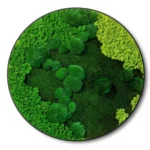 Round Illuminated Moss Wall Art with Mixed Moss - Image 4