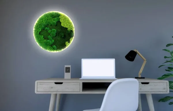 Round Illuminated Moss Wall Art with Mixed Moss - Image 2