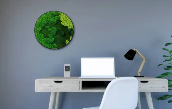 Round Illuminated Moss Wall Art with Mixed Moss - Image 3