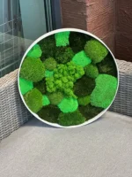 Round Moss Wall Art with Mixed Moss (Reindeer, Ball, Siberian) - Image 2
