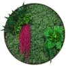 Round preserved moss wall art with mixed botanical accents in a circular frame