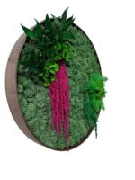 Round Moss Picture with Reindeer Moss and Plants - Image 2