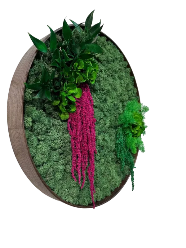 Round Moss Picture with Reindeer Moss and Plants - Image 2