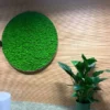 Round green reindeer moss wall art in a wooden frame mounted on a slatted wood wall next to a potted plant