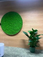 Round Moss Wall Art with Preserved Reindeer Moss and LED Lighting - Image 2