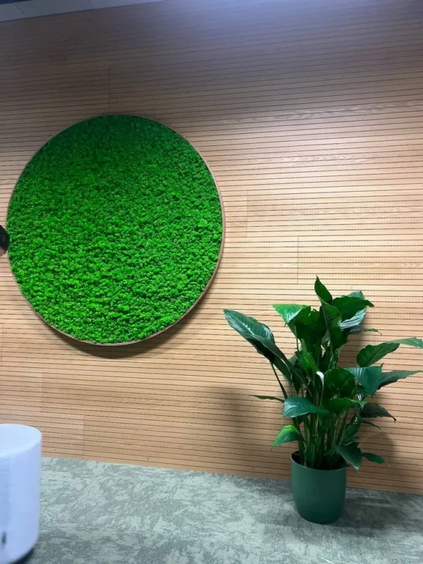 Round Moss Wall Art with Preserved Reindeer Moss and LED Lighting - Image 2