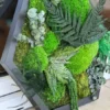 Black hexagonal moss wall art frame filled with green ball moss, ferns, and preserved eucalyptus.