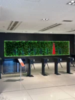 Moss wall with logo - Image 4