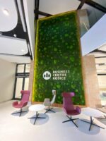 Moss Panel with Cushion Moss and Sheet Moss 50/50 - Image 2