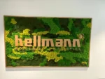 Moss picture with logo - Image 8
