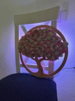 Moss Tree Sakura Wooden Decor - Image 6