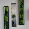 LED-backlit moss wall art in black frames flanking a tall mirror reflecting an indoor plant on a white wall.