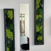Two black-framed vertical moss art pieces with bright green and dark green moss, accented by grey foliage, on a light wall.