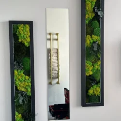 Moss Picture Set and Mirror