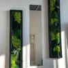 Preserved moss wall art in black rectangular frames flanking a tall frameless mirror on a white wall.