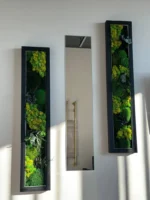 Moss Picture Set and Mirror - Image 6